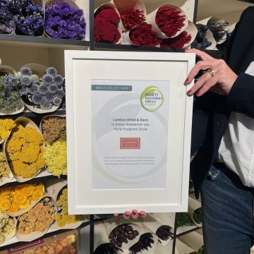 From Seed to Dried Concept