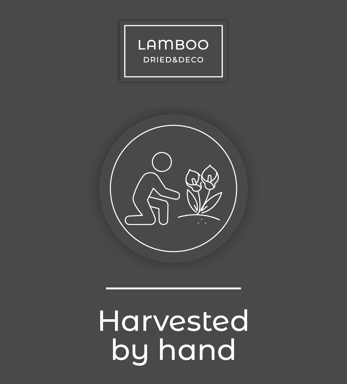 Harvested by hand