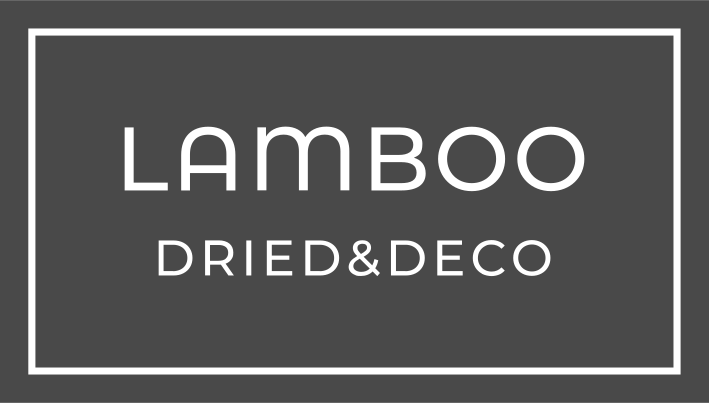 Lamboo Dried & Deco