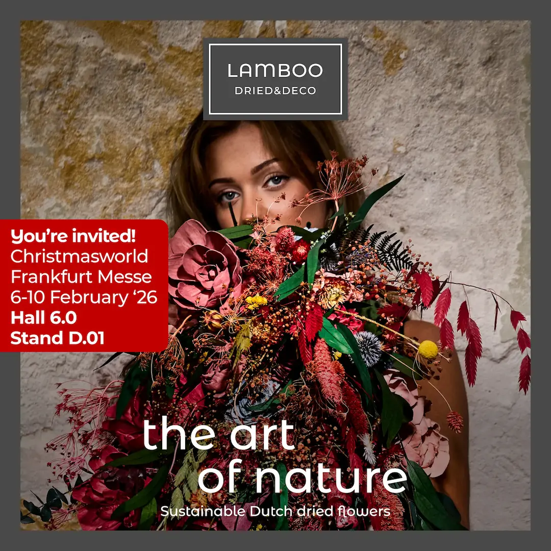 260176-lamboo-social-christmasworld-the-art-of-nature (1).webp