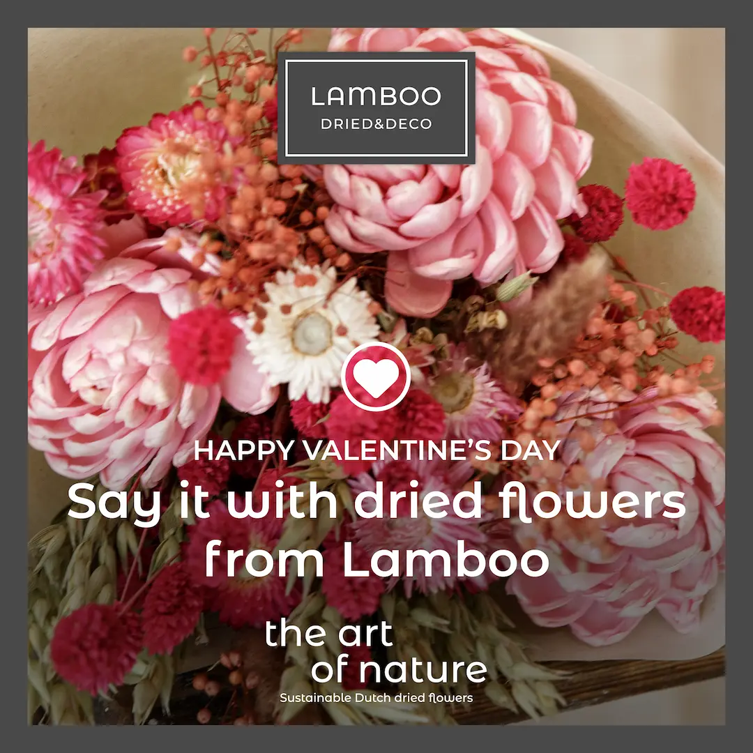 Say it with dried flowers from Lamboo! 

De duurzame Valentijnscollectie droogbloemen, speciaal samengesteld voor retail!

Speel in op de vraag naar duurzame, lang houdbare en onderscheidende
Valentijnsproducten met de speciaal samengestelde Valentijnscollectie droogbloemen van
Lamboo Sustainable Dutch Flowers.