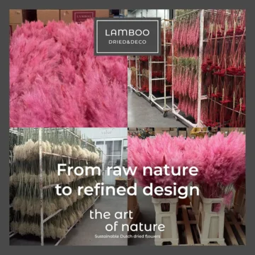 dried flowers production in Lamboo production hall