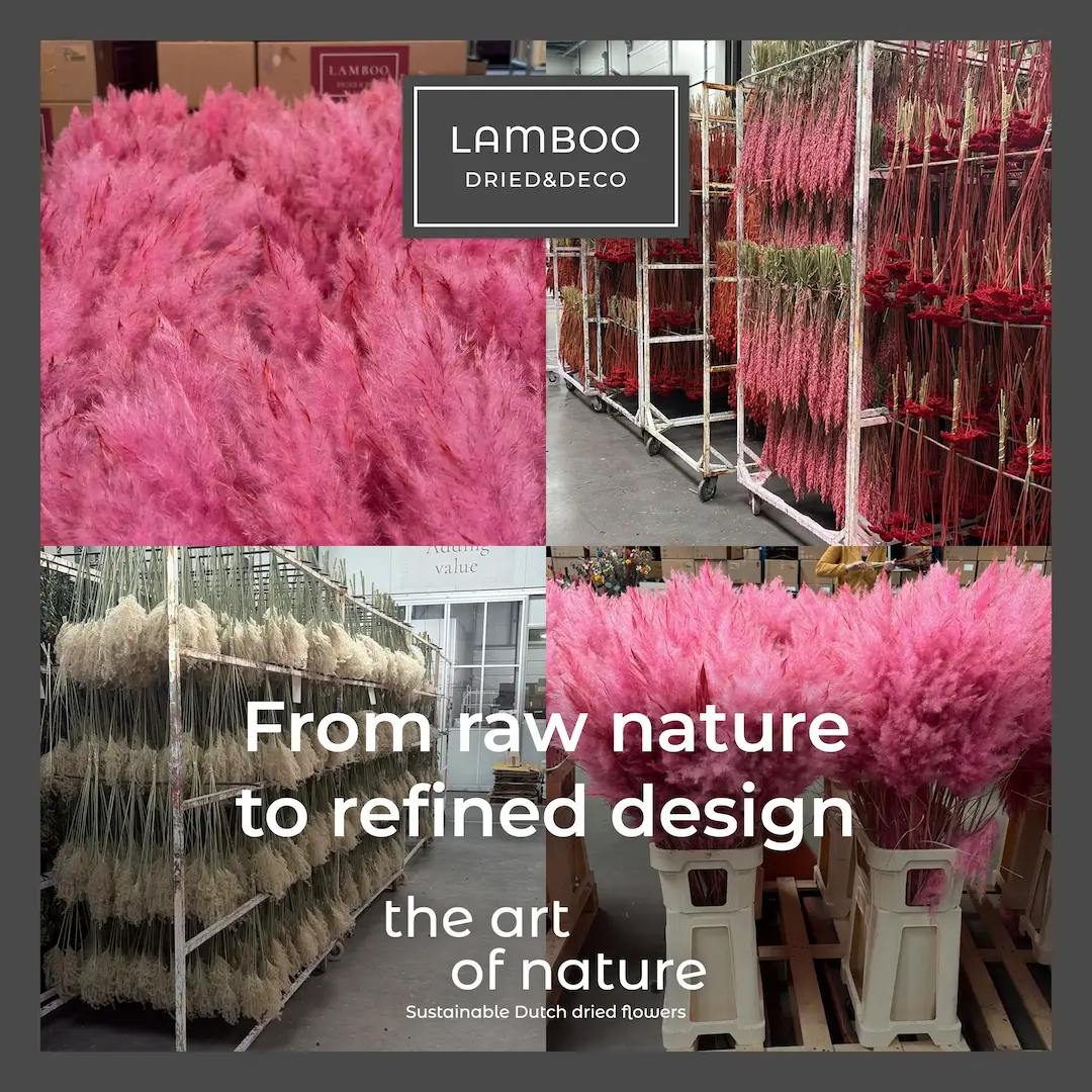 dried flowers production in Lamboo production hall